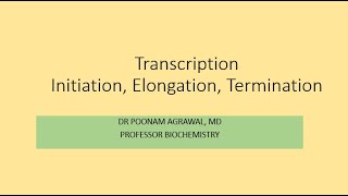 TRANSCRIPTION INITIATION ELONGATIONTERMINATION [upl. by Yendor392]