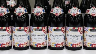 Le beaujolais nouveau 2023 est solaire poivré avec des arômes de fruits rouges [upl. by Latt]