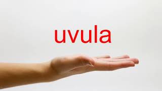 How to Pronounce uvula  American English [upl. by Eenttirb]