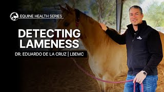 Detecting Lameness in Your Horse [upl. by Kcorb]