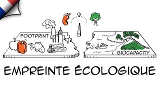 Empreinte écologique explication sur tableau blanc [upl. by Anier]