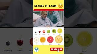 These are ✅ most important Stages of Labor  Cervical Dilation shortsvideo pregnancy baby [upl. by Annua]