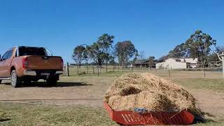 What Is So Great About The Paddock Blade Horse Manure Collector [upl. by Frydman]