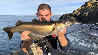 Lure Fishing for Pollack  UK Shore fishing  The Fish Locker [upl. by Retla]