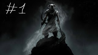 Lets play FR Skyrim  Episode 1 La naissance dun guerrier [upl. by Ravens213]