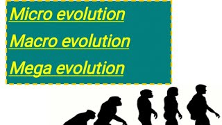 Microevolution macroevolution or mega evolution [upl. by Uno]