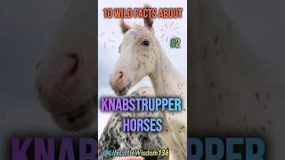 10 Wild Facts About Knabstrupper Horses Part 2 [upl. by Akapol]