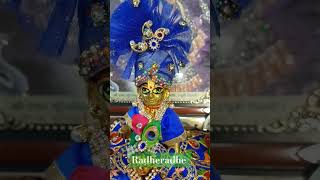 किसने अपनाओ किसको छोड़ा दू radheradhe krishnavrindavan viralvideo new [upl. by Egarton]