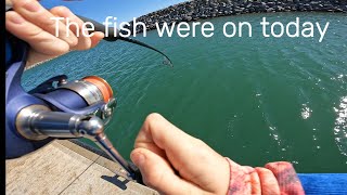 Fishing in Port Hedland [upl. by Levitus]