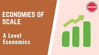 A Level Economics  Economies Of Scale [upl. by Jase]