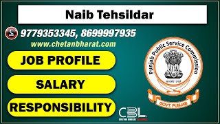 🆕 Naib Tehsildar Job Profile SalaryResponsibility  PPSC [upl. by Teleya941]