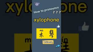 How to pronounce xylophone What does xylophone mean in Chinese xylophone的讀音和釋義翻譯成中文漢語是什麼意思？“木琴” [upl. by Erdda]