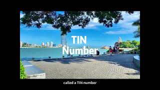 Understanding Your TIN Number in Malaysia  How to Find and Use It [upl. by Aicilyhp659]