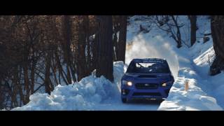 Boxersled Subaru WRX STI vs an Olympic Bobsled Run [upl. by Aseeram742]