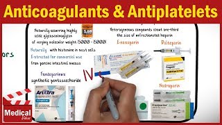 Pharmacology  Anticoagulants and Antiplatelet Drugs FROM A TO Z [upl. by Atiuqel]