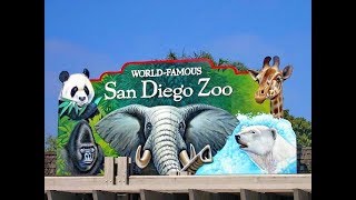 San Diego Zoo 1989 [upl. by Cornelius]