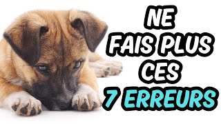 Si Tu Aimes VRAIMENT Ton CHIEN 👉 Il Faut Eviter ces 7 erreurs [upl. by Jeffries]