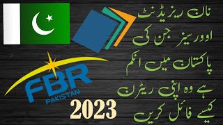 Non Resident Pakistani Tax Return 2024 PartII l Income tax return for Overseas Pakistani l IRIS [upl. by Hedaza]