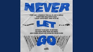 Never Let Go [upl. by Finnie]