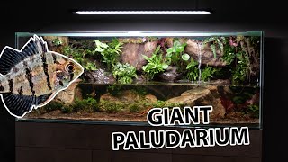 The ultimate paludarium  by aquacreate [upl. by Nnylarac]