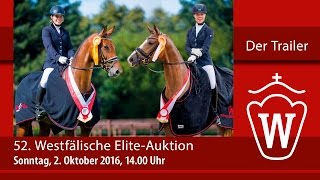 Westfälische EliteAuktion 02 Oktober 2016  Der Trailer Version 2 [upl. by Nonnad]