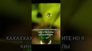 funny memes smule мем друзья motivation anime whatsappstatus [upl. by Ycat134]