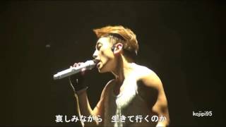 151213 RAIN비 The Squall in Seoul 사랑해요愛してる JP sub [upl. by Aneelak]