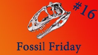 Fossil Friday  Centrosaurus  FossilFriday [upl. by Farrell142]