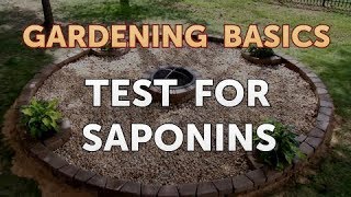 Test for Saponins [upl. by Ifok607]