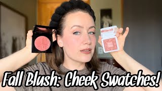 Roasty Toasty Blush Try On [upl. by Zachery]