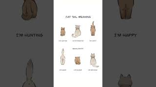 Cat Tail Meaning 🐈⁉️ Cat [upl. by Hillier419]