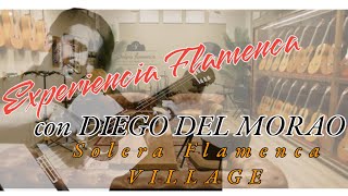 DIEGO DEL MORAO EXPERIENCIA FLAMENCA en Solera Flamenca VILLAGE [upl. by Oflunra80]