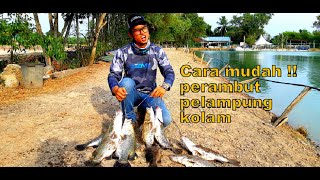 Tips memancing siakap kolam air masin mungkin persoalan korang terjawab [upl. by Lladnar]