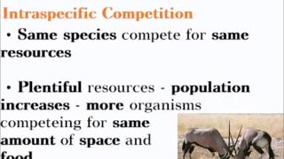 Factors Affecting Population Size  ALevel A2 Biology Revision [upl. by Sibyls]