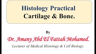 Histology practical cartilage amp Bone [upl. by Meihar168]