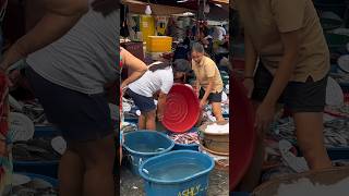 Biggest Seafood Market of Pangasinan Philippines Dagupan Fish Market [upl. by Lekcim]