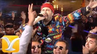 Los Auténticos Decadentes  Tuta Tuta  Festival de Viña del Mar 2017  HD 1080p [upl. by Harman]