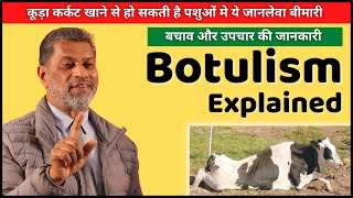 पशुओं मे होने वाली जानलेवा बीमारी बोटुलिज़्म के बारे मे पूरी जानकारी  Botulism in Animals [upl. by Hourihan]