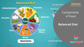 Chapter  2 Components of Food  Class 6  Rapid Revision  Pawan Jangid Sir [upl. by Anerroc]