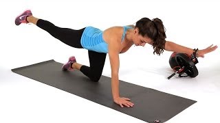 How to Do the Bird Dog Exercise  Abs Workout [upl. by Leboff]