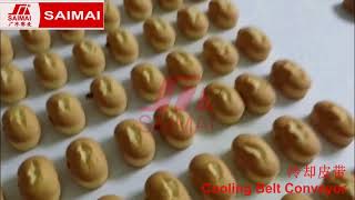 Mini Cake Cup Cake Mould Cake Production LineCake Depositor Cookie Depositor [upl. by Ninehc233]