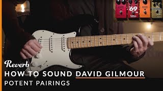 How To Sound Like David Gilmour of Pink Floyd Using Pedals  Reverb Potent Pairings [upl. by Annaoj]