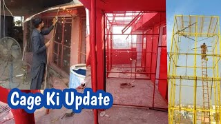 New Cage Ki Update  Hashim Mahmood Pigeons [upl. by Nailimixam]