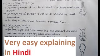 Endosperm and its types in hindi [upl. by Ramsay]