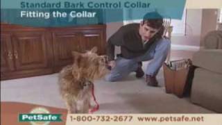 PetSafe Standard Bark Control Collar Tips [upl. by Newell255]