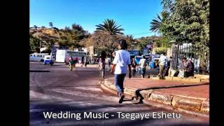 Wedding Music  Tsegaye Eshetu [upl. by Seugram]