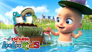 🐸CU CÚ CANTABA LA RANA🐸  Canciones Infantiles para niños  LooLoo kids español [upl. by Einnig]