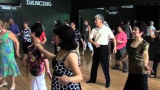 Te Amo By Quick Step Senior Line Dance Studio [upl. by Monty157]