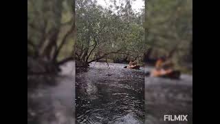 kayaking at woodleigh station [upl. by Eedebez]