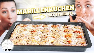 MARILLENKUCHEN  das beste und einfachste Rezept mit Streusel [upl. by Marybelle528]